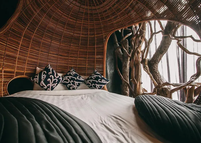 Mo Rooms